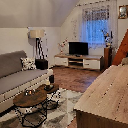Apartments Matovina Saborsko Εξωτερικό φωτογραφία